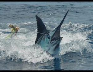 Marlin-at-the-Southern